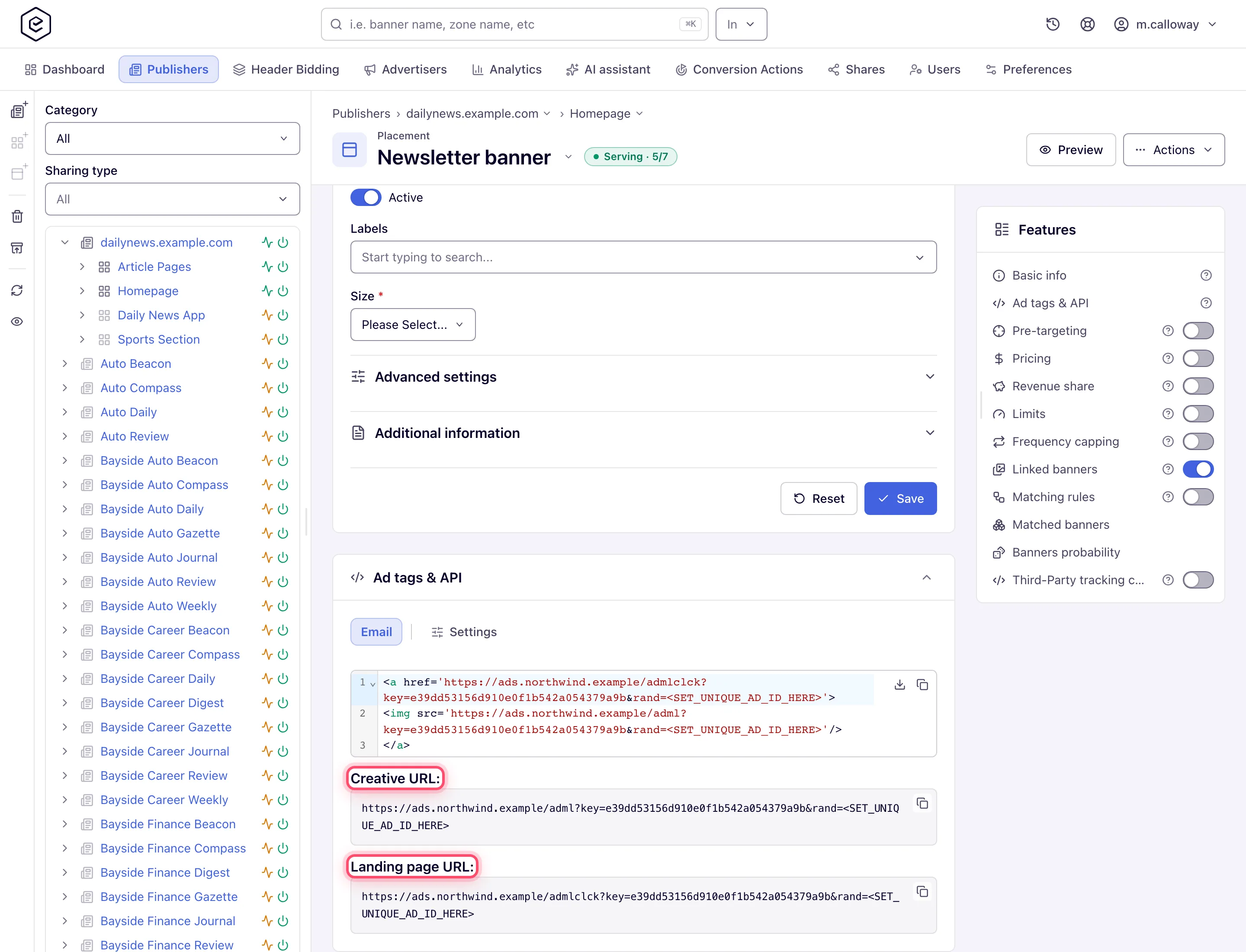 Email tab with the email code and the creative and landing URLs