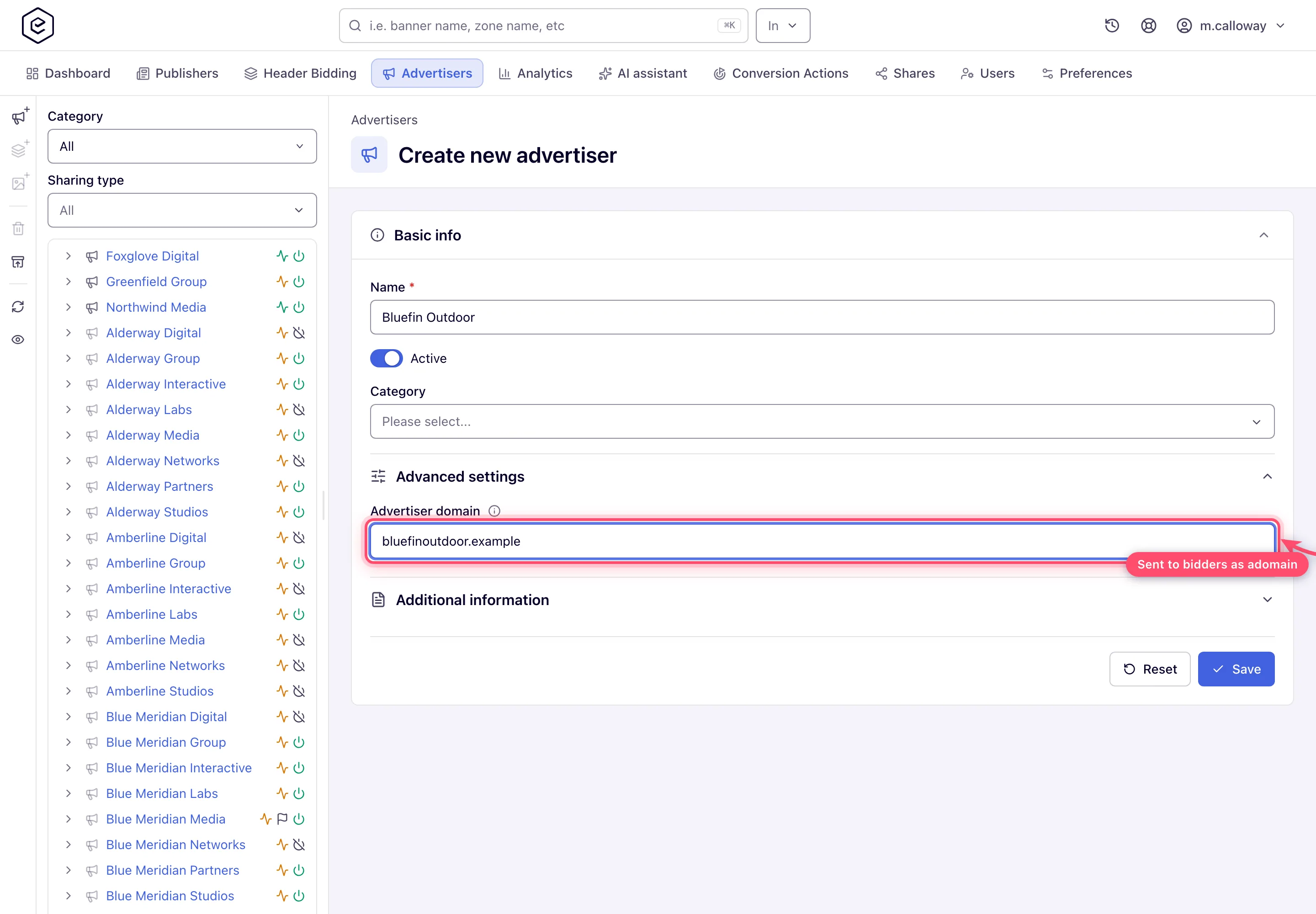 Advanced settings with the advertiser domain filled in