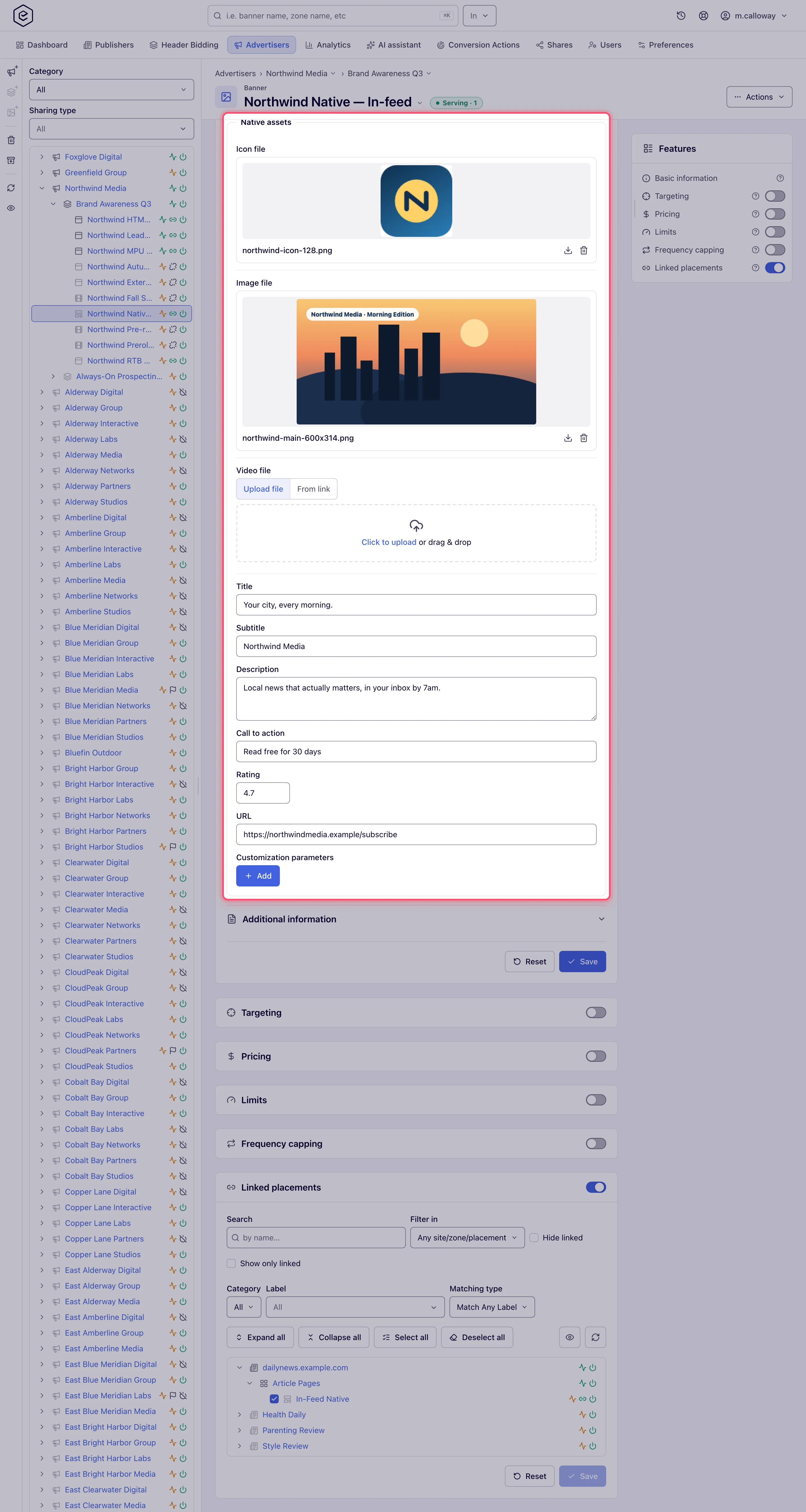 The Native assets fieldset on a saved native banner