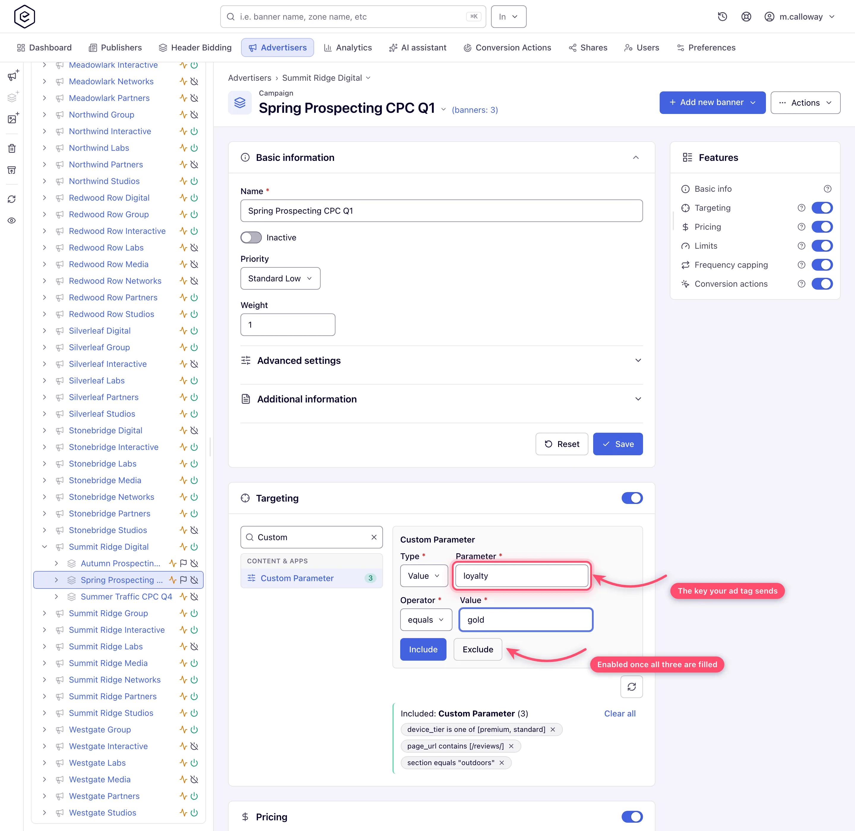 Custom Parameter editor with Type Value, Parameter loyalty, Operator equals and Value gold filled in, Include and Exclude buttons enabled