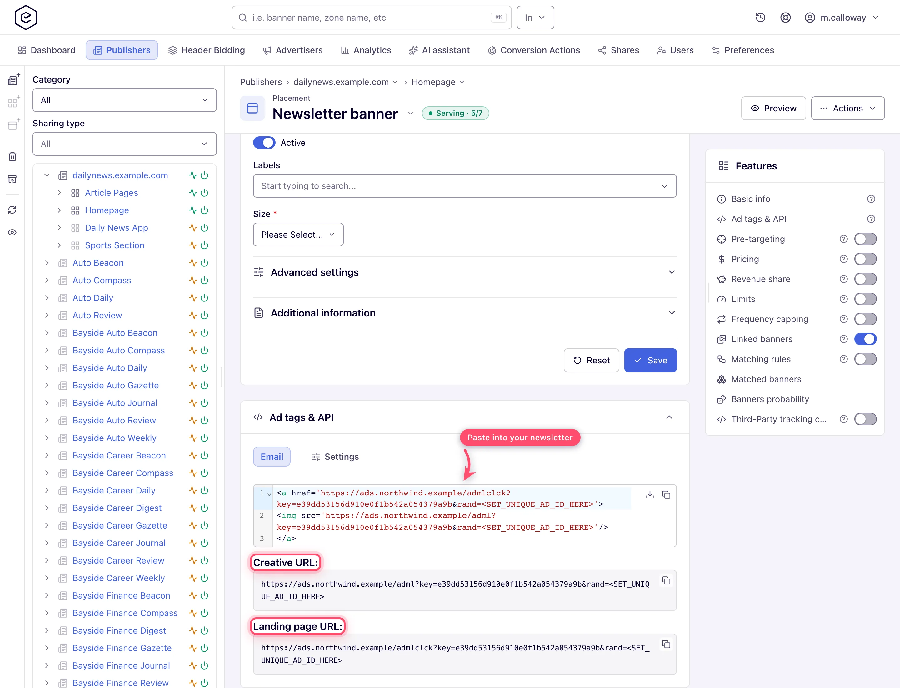 Email tab with the combined image and click snippet and the read-only creative and landing page URLs