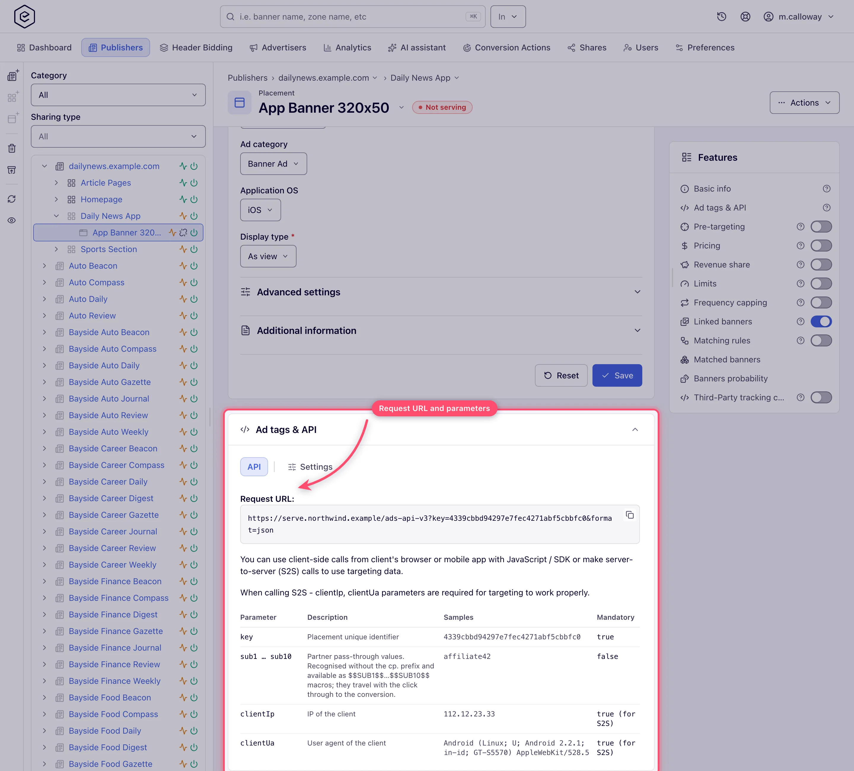 Ad tags & API card on an application placement with the API request documentation