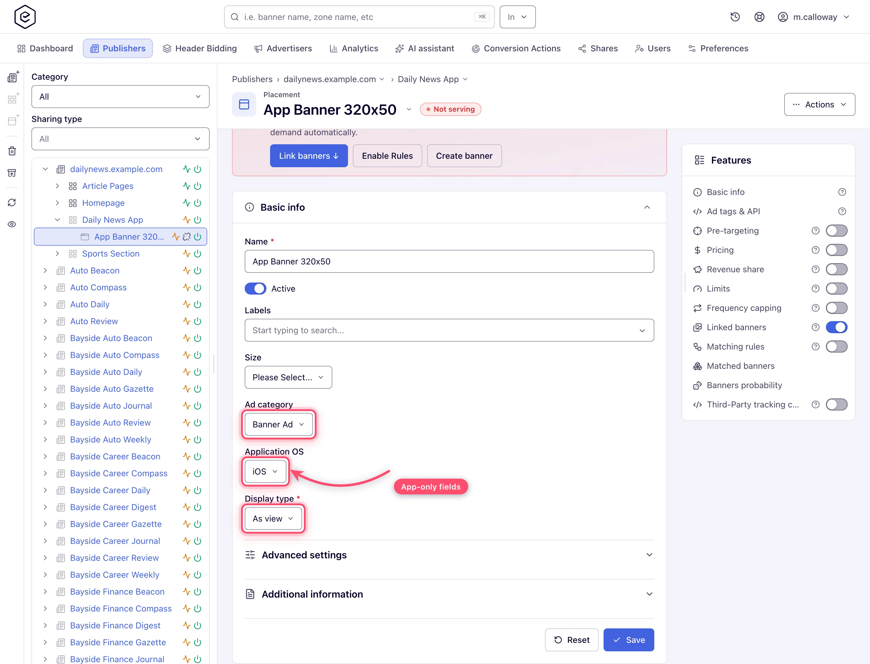 Application placement fields: ad category, application OS, display type
