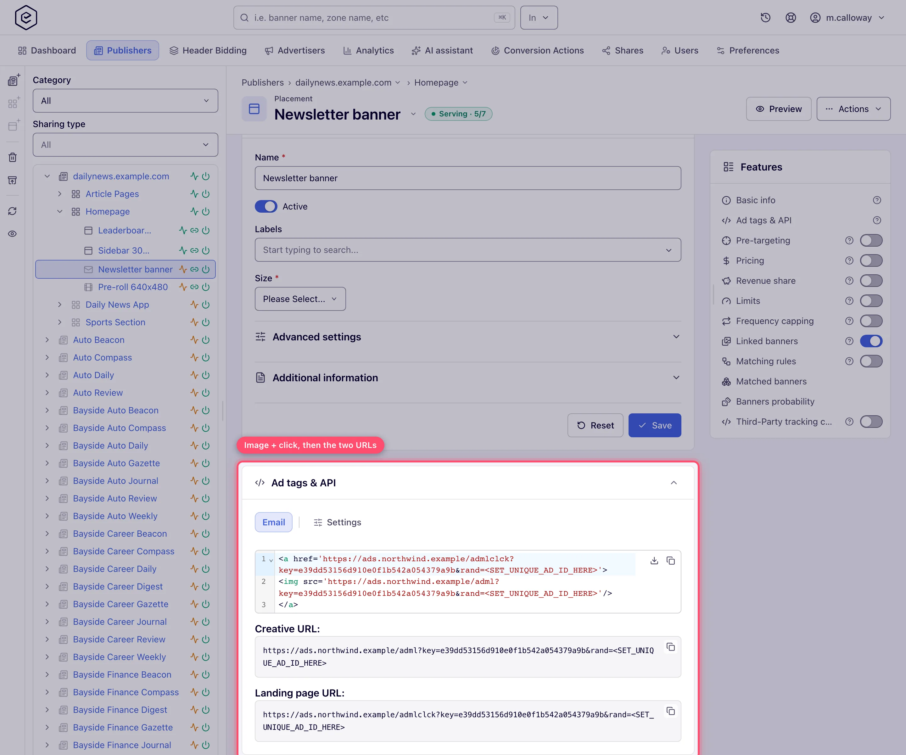 Email tab with the code block and the read-only creative and landing page URLs