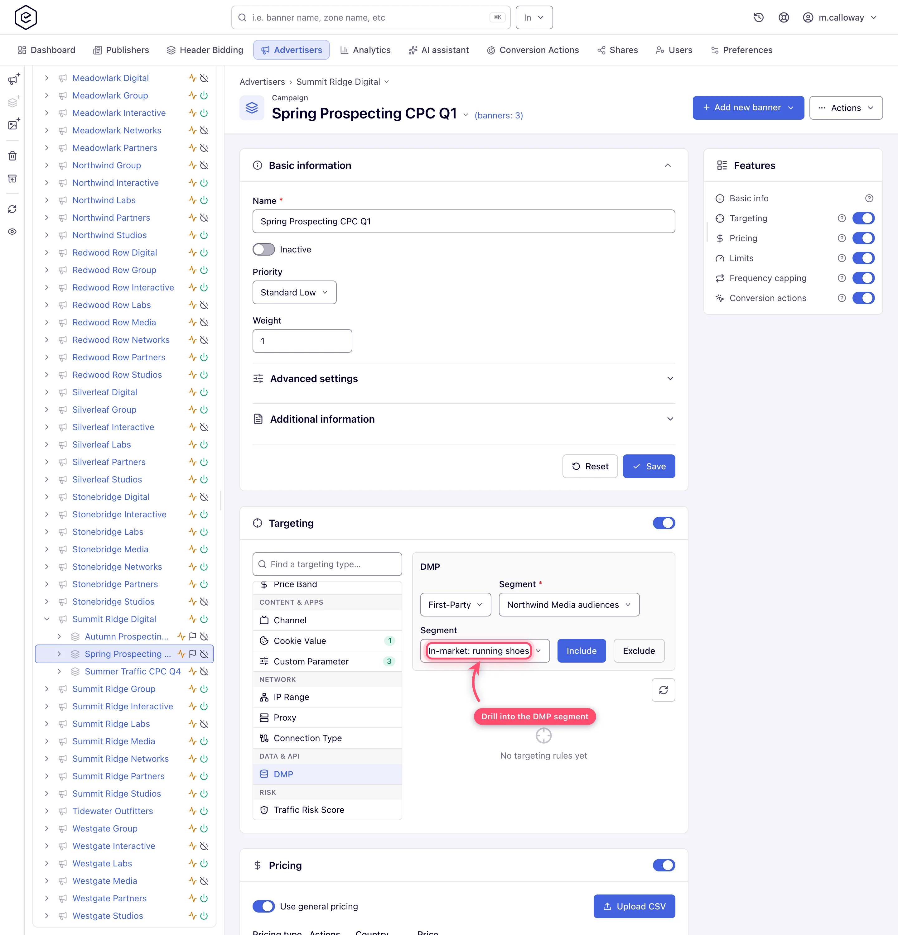 DMP targeting editor